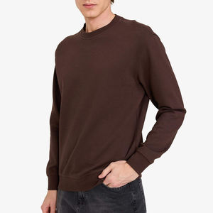 Sweat-shirt à col rond décontracté pour homme, de style streetwear, de haute qualité, à manches longues, avec logo personnalisé, léger, nouveau design, vente en gros - Product Image 1