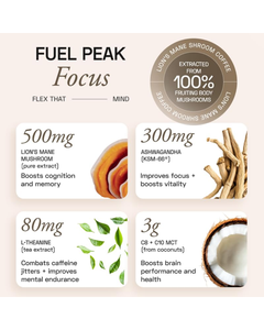 Café Ace Blend à la Crinière de Lion : Concentration Naturelle, Énergie Propre et Soutien Cognitif – Café Fonctionnel - Product Image 3