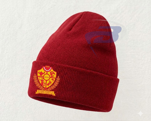 Gorro de Invierno Tejido NSPDK Sorority, Blanco, Bordado 3D Premium 1923, Unisex, Cálido, Diseño de Gorro de Invierno Tejido con Punta - Product Image 3