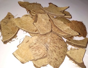 High Quality Raw <b>Coconut</b> <b>Shell</b> Vietnam Natural <b>Coconut</b> <b>Shell</b> Bulk Material for Charcoal Processing Export - Product Image 4