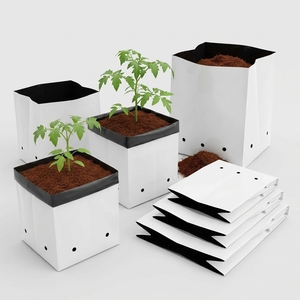 Sustrato de Fibra de Coco 100% Natural de Alta Calidad, Bolsas de Cultivo para Fresas, para Agricultura Hidropónica e Invernaderos - Product Image 3
