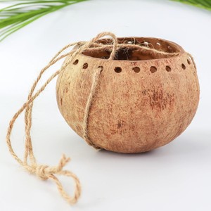 Nature inspired plant <b>pots</b> from coconut shell <b>large</b> & small coco <b>pot</b> outdoor garden balcony decor - Product Image 6