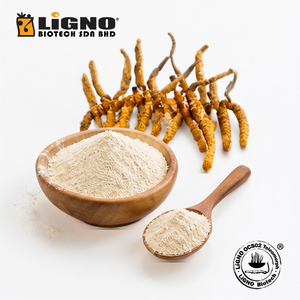 ผงเห็ดถั่งเช่าสกัดเข้มข้น LiGNO OCS02 พรีเมียม |   อาหารเพื่อสุขภาพเกรดอาหาร |   การปลูกพืชประดิษฐ์ |   อาหารและเครื่องดื่มเพื่อสุขภาพ - Product Image 1