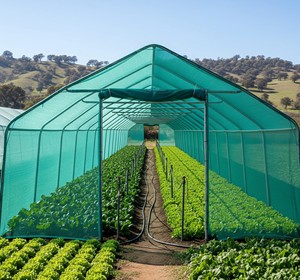 Green Agro <b>Mesh</b> <b>Plastic</b> Net Shade Net Tunnel Cover for Greenhouse Vegetable Garden Crop Protection - Product Image 3