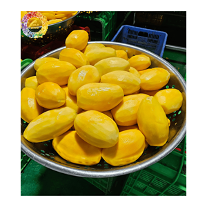 Collations saines à la mangue - Meilleurs produits 2026 Sans sucre Sans produits chimiques Mangue séchée moelleuse 99 Gold Data Vietnam - Product Image 2