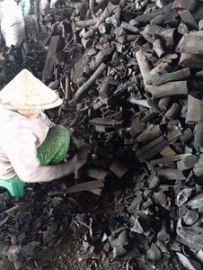 Charbon de bois de Khaya de qualité supérieure en provenance du Vietnam |   Puissance thermique élevée et combustion fiable |   Combustible pour barbecue |   Approvisionnement direct d'usine pour l'exportation - Product Image 2