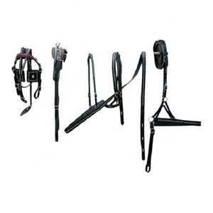 Conjunto Completo De Arnés De Piel De Caballo. - Product Image 1
