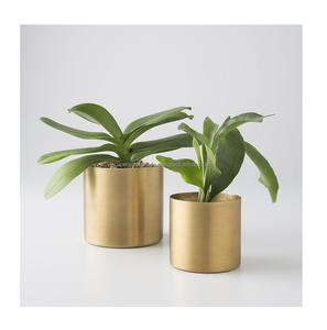 Macetero Metálico de Estilo Urbano Diseñado para Hogares Urbanos, Oficinas y Conceptos de Decoración Verde Contemporánea - Product Image 1