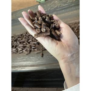 Vente en gros GIA GIA NGUYEN 8mm granulés de noix de cajou brutes Vietnam grande capacité en vrac pour le tannage du bois de noix de cajou - Product Image 4