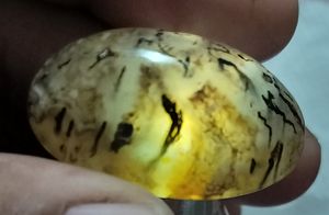 Cabujón de piedra preciosa natural suelta con patrón de árbol marrón para anillo y colgante - Product Image 3