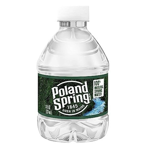 Agua de Manantial Natural 100% Poland Spring, Paquete de 40 Botellas de 16.9 oz, Agua de Manantial Poland Spring, Paquete de 24 Unidades / Poland Spring 100% Natural - Product Image 1