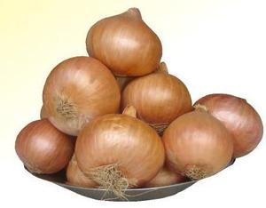 Graines d'oignon jaune (Phulkara) OPV, pureté 99,99%, germination 85% - Product Image 3