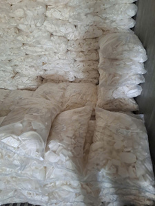 CARYLN มะพร้าวแช่แข็งแบบ IQF หั่นเป็นชิ้น - เนื้อมะพร้าวสด 100% สำหรับสมูทตี้และไอศกรีม - Product Image 5