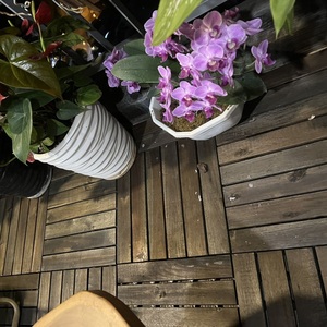 Carreaux de terrasse en acacia de qualité supérieure 12mm Plancher en bois de noyer moderne à 6 lattes Beau balcon extérieur Conception de parquet au bord de la piscine Lisse - Product Image 3