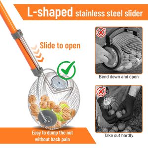 Ramasseur de noix à rouleaux pour noix de pécan, châtaignes, noix de hickory, balles de golf, outil de ramassage efficace pour la collecte de noix - Product Image 5