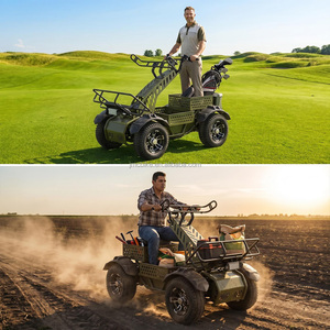 Scooter de <span class=keywords><strong>golf</strong></span> électrique 4 roues, pneus larges, batterie lithium 8000W, monoplace, avec porte-sac, pour adulte - Product Image 4