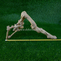 Kaffeeroot-Holz (60-80cm) Umweltfreundlich für Reptilien-Dschungel-Vivarien & Terrarien Tierkäfige - Marke CR-M
