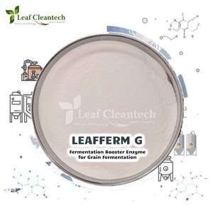 Enzyme booster de fermentation des céréales Mélange enzymatique haute performance pour la conversion de l'amidon et l'optimisation du rendement en alcool - Product Image 1