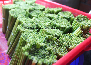 Pailles en herbe naturelle artisanales, écologiques, pour boissons froides, fournitures en vrac EcoCrafts, pailles en herbe biodégradables naturelles - Product Image 5
