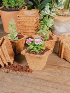 Macetas Ecológicas de Fibra de Coco para Plántulas, Macetas Biodegradables Naturales para Plantas de Interior y Exterior de Vietnam - Product Image 4