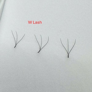 ซัพพลายเออร์ขนตาปลอม PBT คุณภาพสูง ทำมือ 3D 4D 5D แบบ C/CC/D/DD/M/L Curl ความยาว 7-25 มม. นุ่มเป็นธรรมชาติ - Product Image 1