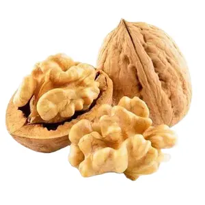 185 Walnut Di cangkang ekstra ringan Kernel Walnut/185 belum dicuci kulit kenari tipis/kulit cangkang kenari mentah