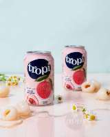 Halal 100% Vruchtensap Aanpasbare Merknaam Vietnam Gemaakt Tan Do Drank 500Ml Kan Nfc Fruit Gearomatiseerd 10 Smaken 18 Maanden