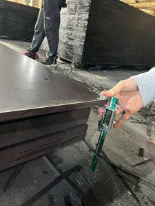 Contrachapado Fenólico de Abedul Rojo y Negro, Fabricado en Vietnam, Impermeable, Antideslizante, 8x4, 24mm, E0, Precio Moderno - Product Image 5