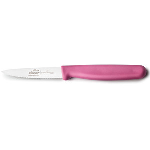 Coltello da Cucina Seghettato Lacor Etern Magenta 10 cm in Acciaio Inossidabile - Product Image 1