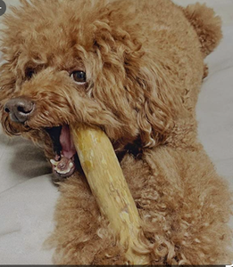Palito Masticable Natural de Madera de Café para Perros y Gatos |   Juguete Masticable Ecológico para Interiores |   Uso Diario - Product Image 4