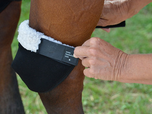 Protector de Cadera para Caballo Click Hock Shield, de Perfil Bajo, Suave y Flexible, para Prevenir Úlceras por Presión, Envoltura Ecuestre para Patas de Neopreno y Forro Polar - Product Image 2