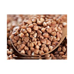Proveedor mayorista de trigo sarraceno tostado de la mejor calidad a la venta a precio económico - Product Image 6