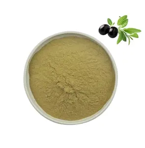 Estratto vegetale vendita calda foglia di olivo estratto in polvere per l'esportazione