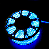Tira de LED para Exteriores Nanoco, 72 Chips 2835 SMD, IP65, Anti-UV, PVC, 30000 Horas de Duración, Proveedor Número 1 en Vietnam, Venta al Por Mayor