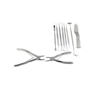 Outils dentaires complets pour dentistes, instruments en acier inoxydable de haute qualité, instruments vétérinaires dentaires pour petits animaux - Product Image 3