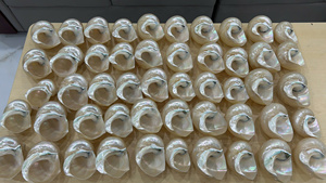 Concha de Caracol Pulida, Suministro Confiable de Fábrica, Mejor Precio para Acuarios y Manualidades - Product Image 2