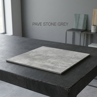 Carreaux de sol en porcelaine pour extérieur, épaisseur 20 mm, 600x900 mm et 600x600 mm, robustes, gris, pour parking extérieur