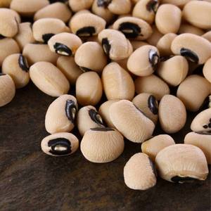 Millet rouge entier 100% naturel de qualité supérieure pour l'exportation, fournisseur en gros en Inde - Product Image 1