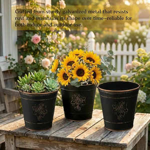 Cubo Galvanizado Rústico Estilo Granja, Florero Metálico Vintage, Maceta Decorativa de Hojalata con Asas para Plantas de Boda - Product Image 2