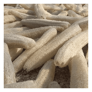 Éponges de loofah naturelles séchées, matériau de gourde de loofah naturelle pour exfoliant corporel et usage domestique, fournisseur du Vietnam - Product Image 5