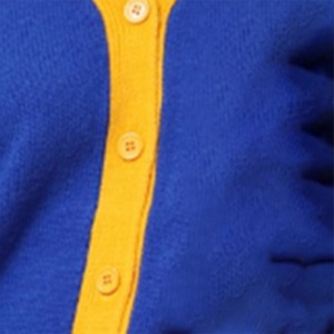 Cárdigan Personalizado con Logotipos de Zeta Phi Beta en Azul y Amarillo, Cuello en V, Manga Larga, Cierre de Botones, Color Sólido, Tejido de Punto, Ropa de Otoño - Product Image 3