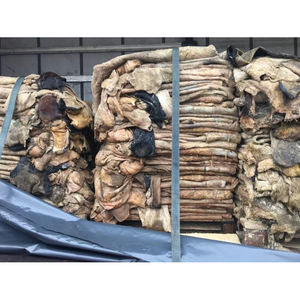 Peaux de vache naturelles séchées et salées, nettoyées et coupées, en vrac pour les fabricants de cuir mondiaux - Product Image 3