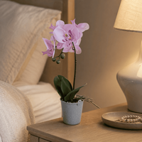 Dekorative Hochwertige Künstliche Orchidee im PEVA-Material-Topf für Innenräume, Tische und Theken