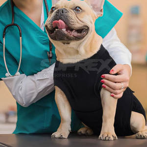 Pet Recovery <b>Suit</b> After Surgery Full <b>Body</b> Coverage for <b>Dogs</b> Breathable Comfortable Modern Eco-Friendly Cotton Polyester - Product Image 4