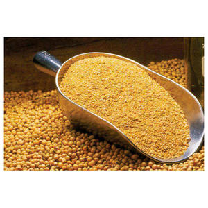 อาหารปลาคุณภาพดีที่สุดล่าสุด อาหารสัตว์ปีกสำหรับเริ่มต้นเลี้ยงแบบออร์แกนิก อาหารปลา ราคาโรงงาน - Product Image 6