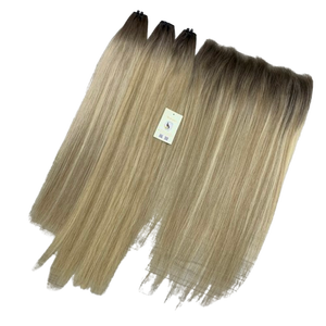 Extensiones de Cabello Vietnamita de Alta Calidad con Reflejos Ombré, Encaje Suizo 13x6 HD Frontal con Colores de Reflejos, Cabello Humano de Vietnam - Product Image 1