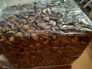 2026 NEW CROP Dried Shiitake Mushroom BEST SELLER - Thick Meat Black Mushroom from Vietnam - Product Image 5