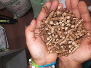 Bûches de pin premium 6 mm, combustible biomasse avec 1,5 % de cendres, 5 % d'humidité, densité 550 kg/m³ pour chaudières industrielles - Product Image 4