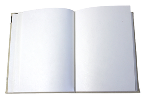 Multi Color Bird Being Screen Printed On The Cotton Canvas Along With Some Old Fashioned Postal Chops & Stamps <b>Notebook</b> - Product Image 3