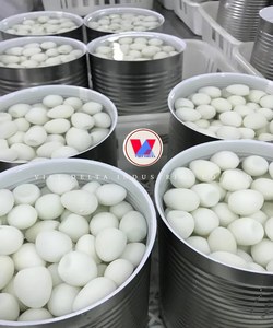 Œufs blancs en conserve très demandés, 100% frais et cuits, exportés du Vietnam - Product Image 4